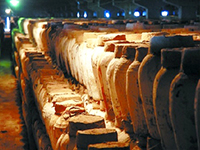 ��ˮ�������ϰ׸���ƻ��й���ҵ���·�չ�����������